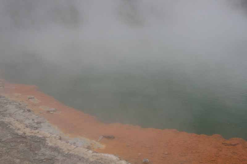 Nieuw-Zeeland 2011 - 0776